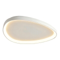 Top Light - Fényerőszabályozható mennyezeti lámpatest ECLIPSE LED/55W/230V 3000-6500K átm. 60 cm fehér + távirányító