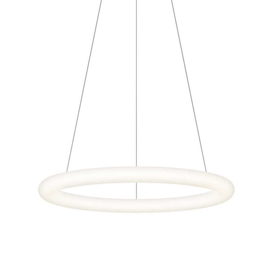 Top Light - LED, dimmelhető kábeles függeszték RINGO LED/40W/230V 3000-6500K fehér + távirányítóval