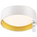 Top Light - LED Dimmelhető mennyezeti lámpa IVONA 40B RC LED/24W/230V + távirányító fehér