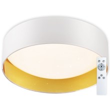 Top Light - LED Dimmelhető mennyezeti lámpa IVONA 40B + távirányító LED/24W/230V + távirányítás fehér