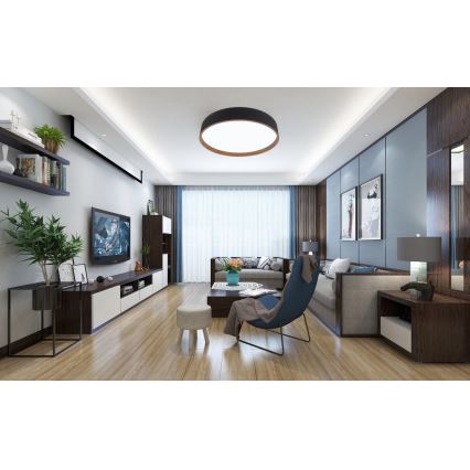 Top Light - LED dimmelhető mennyezeti lámpa DEKOR LED/51W/230V átmérő 40 cm 3000-6500K + távirányító