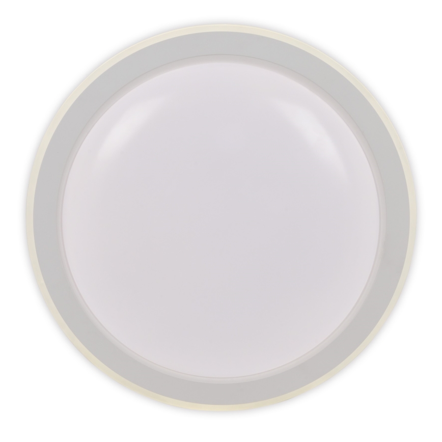 Top Light - LED Dimmelhető mennyezeti lámpa NORMAN LED/60W/230V átm. 49 cm fehér + távirányítás