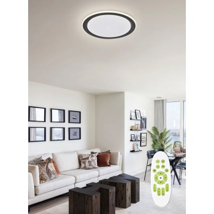 Top Light - LED Dimmelhető mennyezeti lámpa NORMAN LED/60W/230V átm. 49 cm fekete + távirányítás