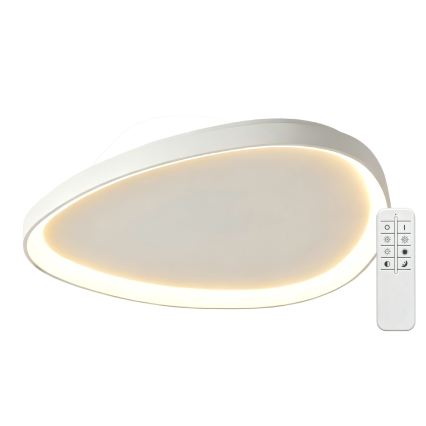 Top Light - Fényerőszabályozható mennyezeti lámpatest ECLIPSE LED/55W/230V 3000-6500K átm. 60 cm fehér + távirányító