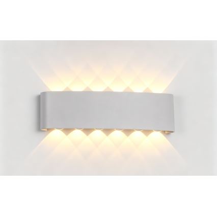 Top Light - LED kültéri fali lámpatest RAY LED/10W/230V 3000/4000/6500K IP54 fehér