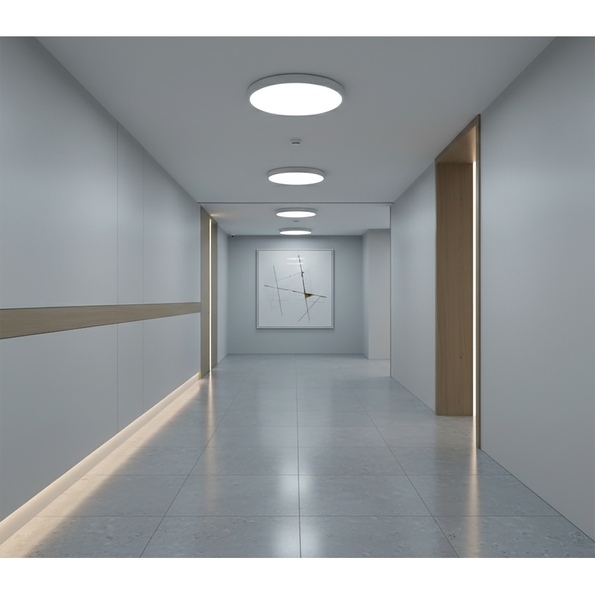 Top Light - REVIT LED mennyezeti lámpa mozgásérzékelővel, 12/18/24 W, 230 V, 3000/4000/6500 K, átm. 30 cm, fehér