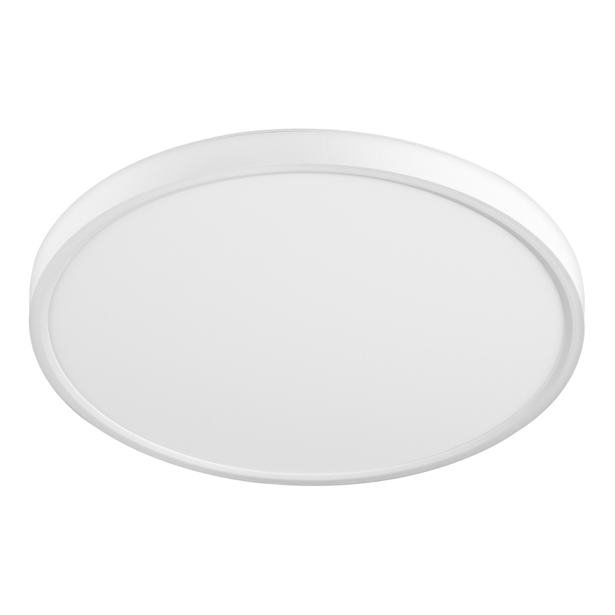 Top Light - LED Mennyezeti lámpa REVIT LED/24W/230V 3000/4000/6500K átm. 30 cm fehér