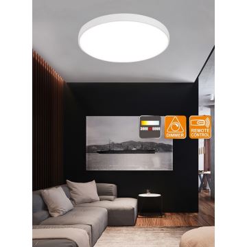 Top Light Metal 60B + távirányító - LED Dimmelhető mennyezeti lámpa távirányítással METAL LED/60W/230V