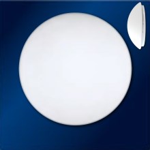 Top Light - Mozgásérzékelős mennyezeti lámpa 5501/40/MWS 2xE27/60W