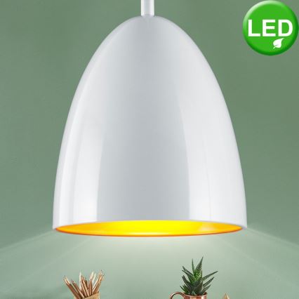 TRIO - LED Csillár zsinóron COB LED/6,5W/230V