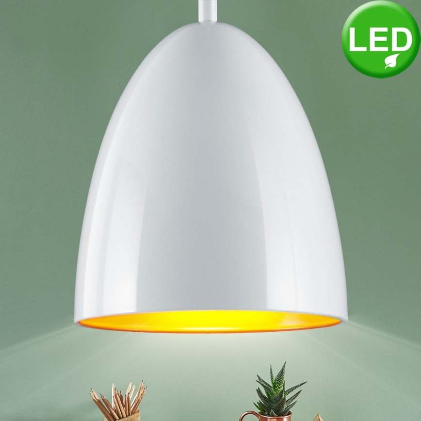 TRIO - LED Csillár zsinóron COB LED/6,5W/230V
