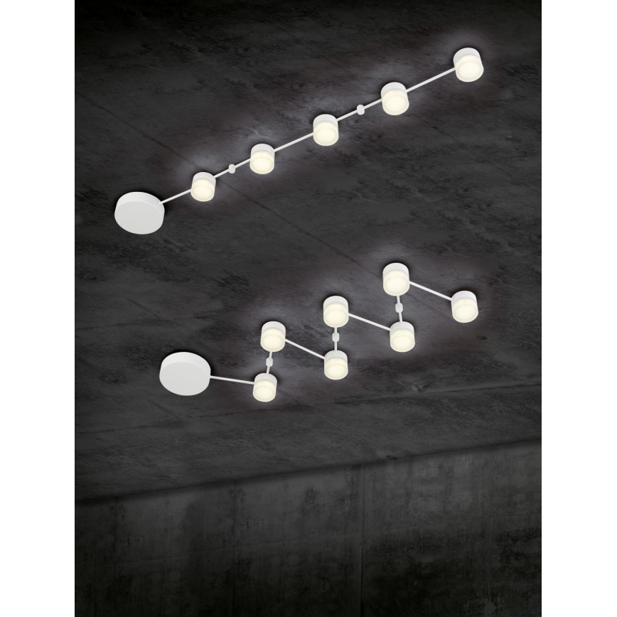 Trio - LED Dimmelhető mennyezeti lámpa NASHVILLE 5xLED/3W/230V