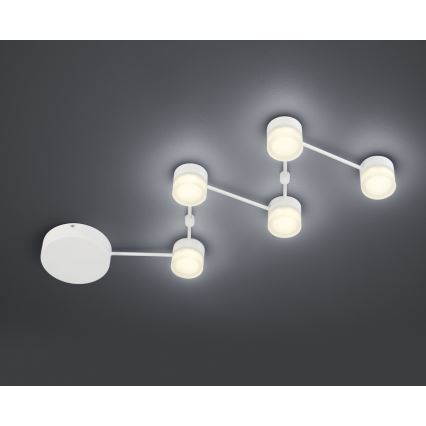 Trio - LED Dimmelhető mennyezeti lámpa NASHVILLE 5xLED/3W/230V