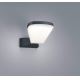 TRIO - LED Kültéri fali lámpa VOLTURNO LED/5,5W/230V IP54