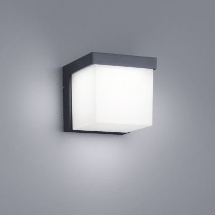 Trio - LED Kültéri fali lámpa YANGTZE LED/4,5W/230V IP54 3000K