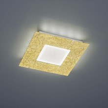 Trio - LED Mennyezeti lámpa CHIROS LED/12W/230V + LED/3,5W