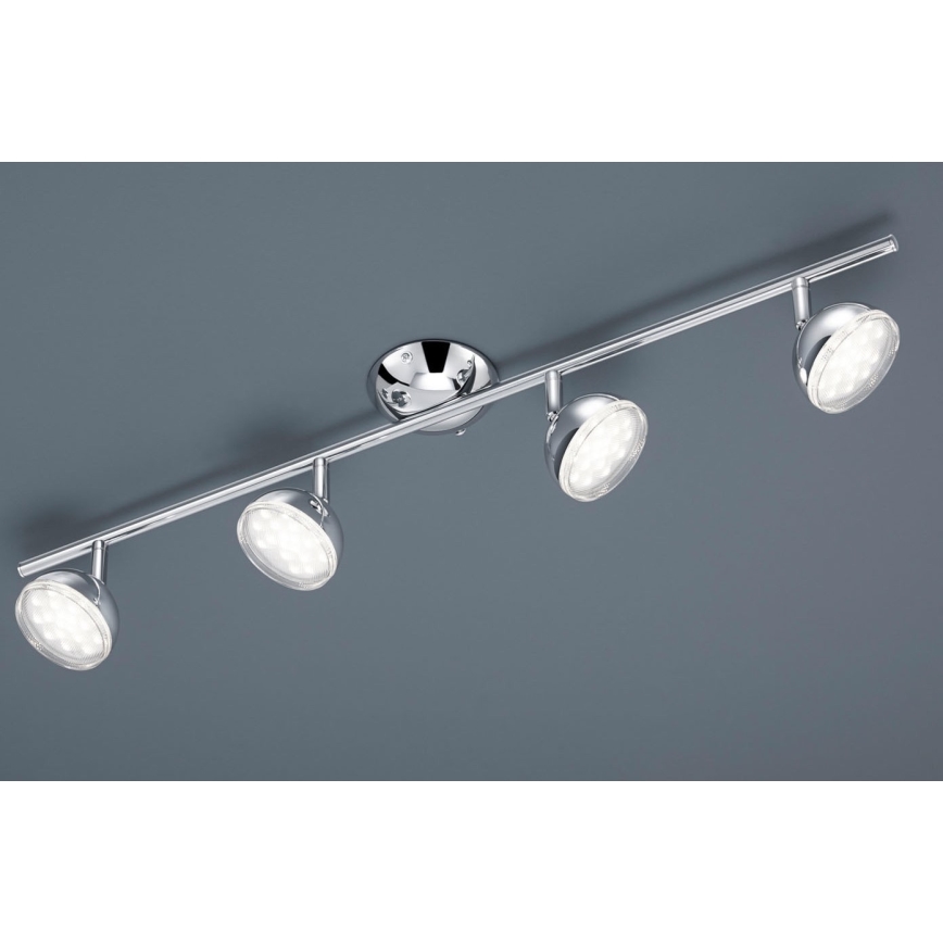 Trio - LED Spotlámpa BOLOU 4xLED/3,8W/230V
