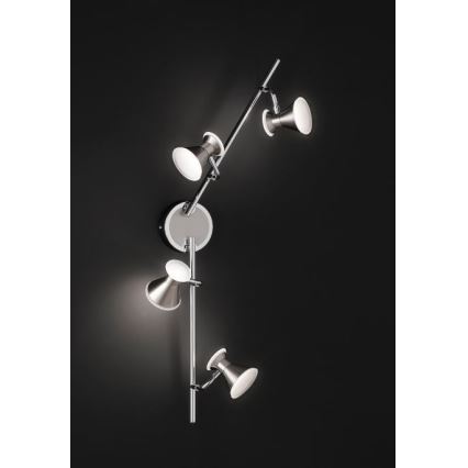 Trio - LED Spotlámpa DUKE 4xLED/4,3W/230V