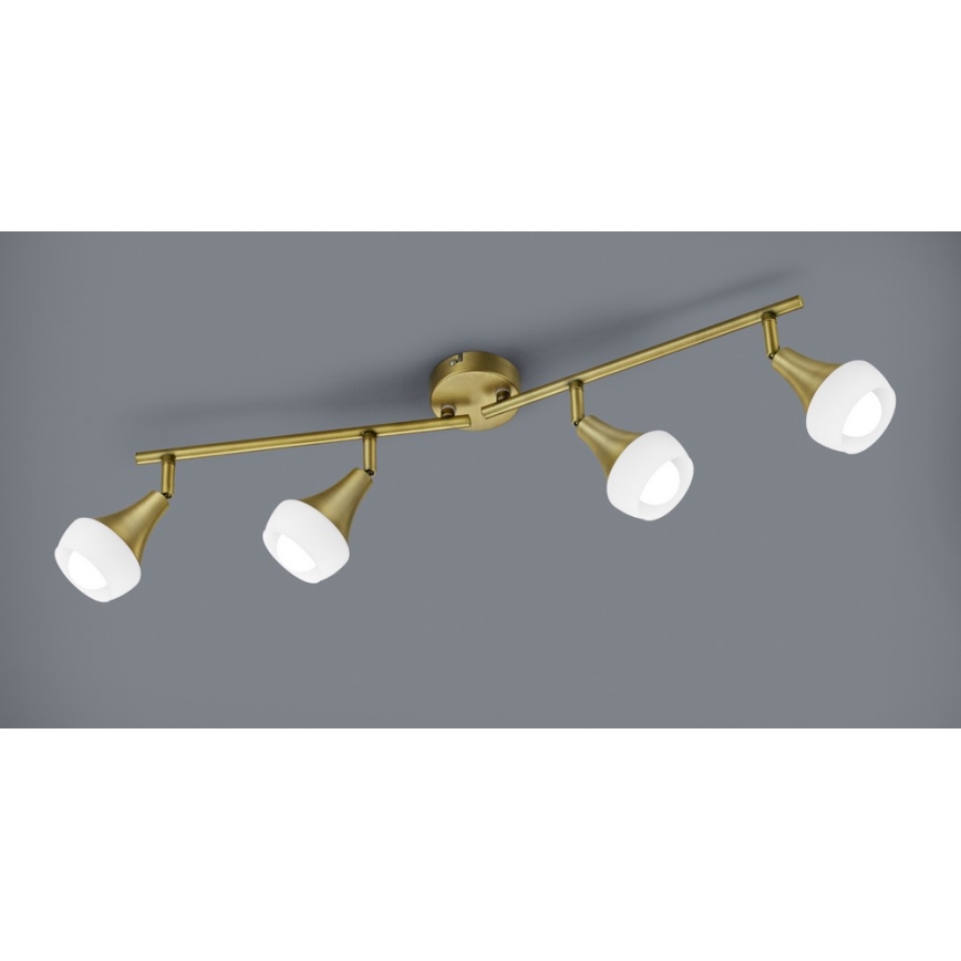 TRIO - Spotlámpa TRUMPET 4xE14/40W/230V