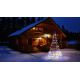Twinkly - LED RGBW Dimmelhető kültéri Karácsonyfa LIGHT TREE 450xLED 3m IP44 Wi-Fi