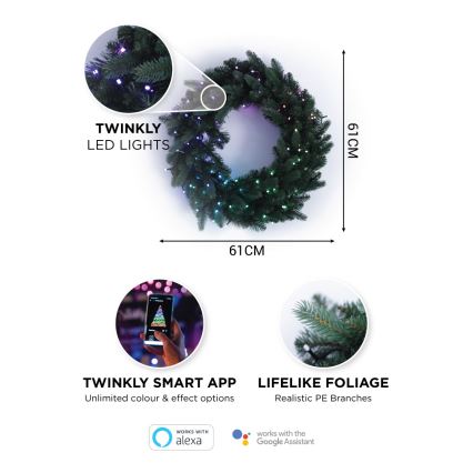 Twinkly - LED RGB Dimmelhető Karácsonyi koszorú PRE-LIT WREATH 50xLED átm. 61cm Wi-Fi