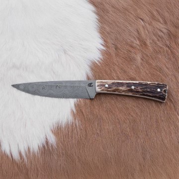 Vadász dispatch kés 12 cm szarvas agancs