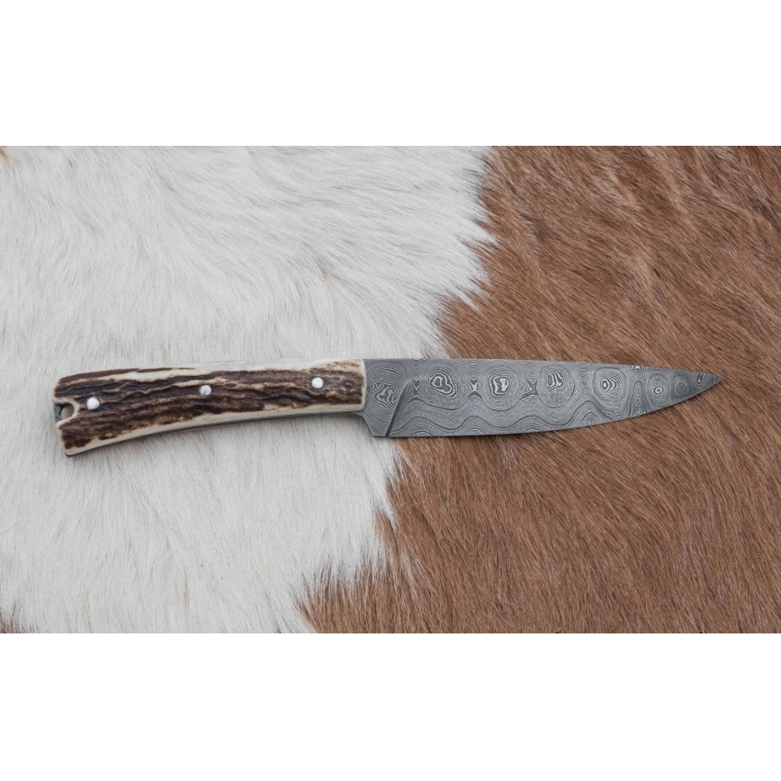 Vadász dispatch kés 12 cm szarvas agancs