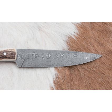 Vadász dispatch kés 12 cm szarvas agancs