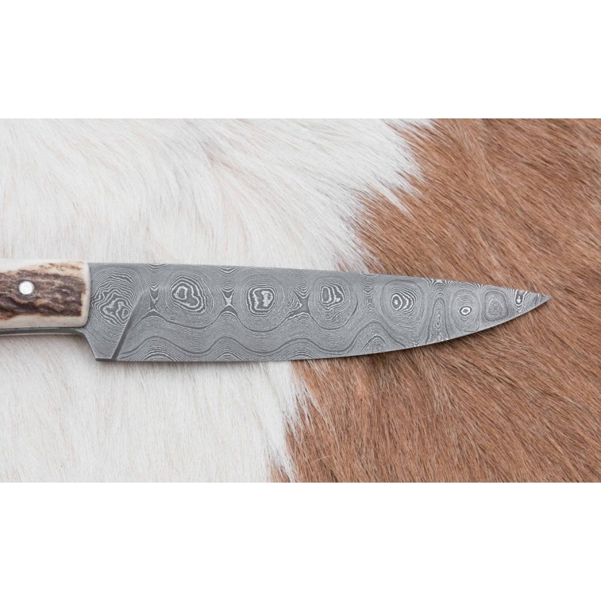 Vadász dispatch kés 12 cm szarvas agancs