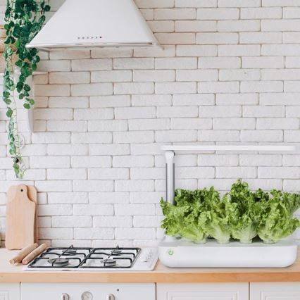 VEGEBOX SMART GARDEN 9 NÖVÉNYVÉDELEM LED/21W/230V