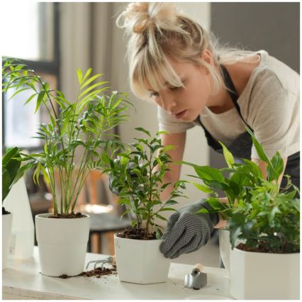 Fényerőszabályozható asztali növénytermesztő lámpa VERDI LED/5W/5V 1300K CRI 95 fehér