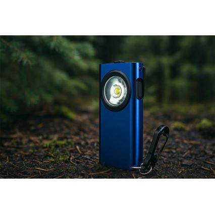 Viking - LED fényerőszabályozható újratölthető zseblámpa LED/5V IPX3 500 lm 500 mAh