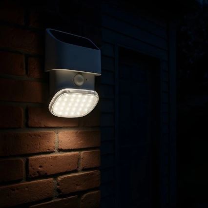 Viking - LED napelemes fali lámpa érzékelővel LED/1W/3,7V IP44 3000/4000K 4000 mAh