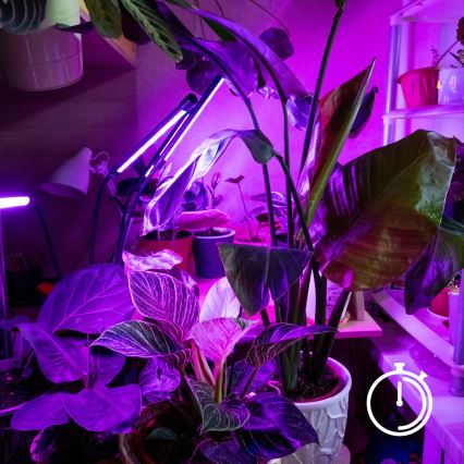 LED állítható fényerejű, rugalmas asztali lámpa csíptetővel növénytermesztéshez VITARO 3xLED/10W/230V fekete