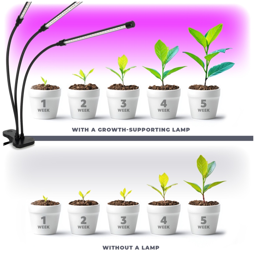 LED állítható fényerejű, rugalmas asztali lámpa csíptetővel növénytermesztéshez VITARO 3xLED/10W/230V fekete