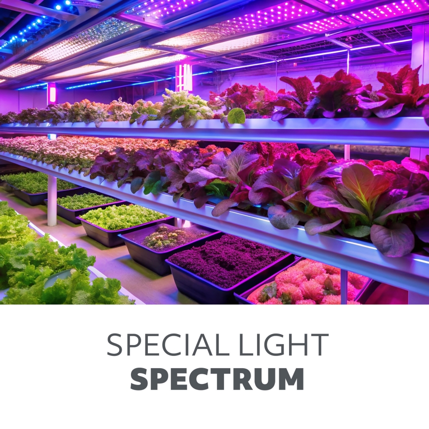 LED állítható fényerejű, rugalmas asztali lámpa csíptetővel növénytermesztéshez VITARO 3xLED/10W/230V fekete