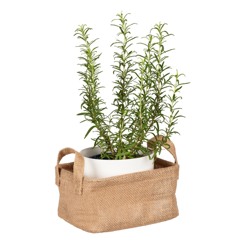 WENKO 64470100 - JUNA kosár 20x15 cm barna