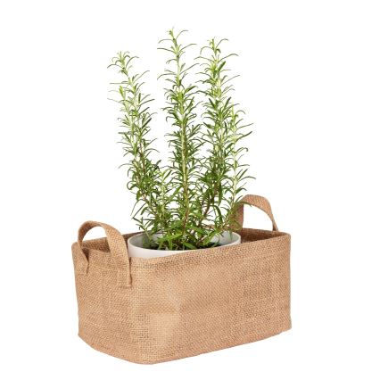 WENKO 64471100 - JUNA kosár 24x17 cm barna