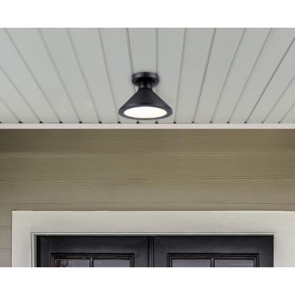 Westinghouse 61238 - Kültéri mennyezeti lámpa WALTER 1xE27/60W/230V IP44