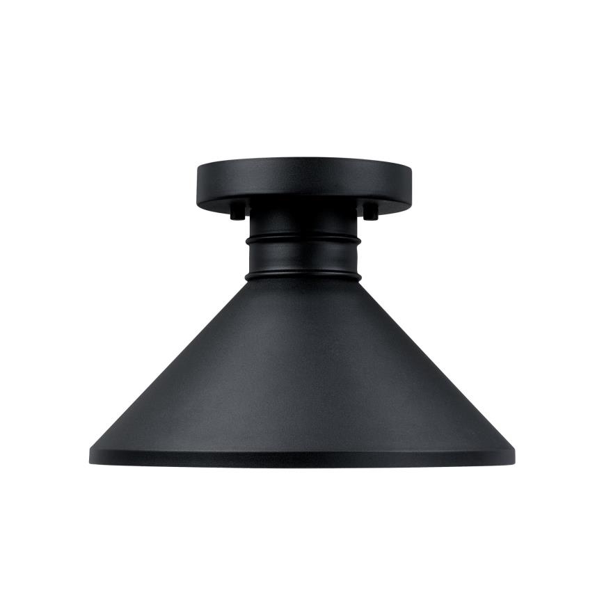 Westinghouse 61238 - Kültéri mennyezeti lámpa WALTER 1xE27/60W/230V IP44