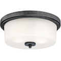 Westinghouse 6325140 - Mennyezeti lámpa CEDRIC 2xE27/40W/230V Ø 33 cm