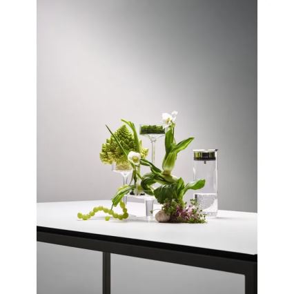 WMF - Vízkaraffa MOTION 800 ml