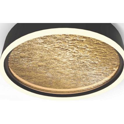 Wofi 9002-104L - LED Dimmelhető mennyezeti lámpa BORDEAUX LED/60W/230V fekete/arany