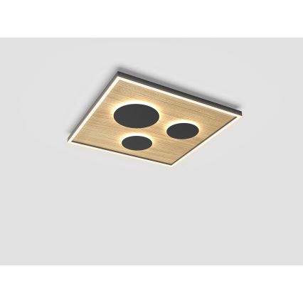 Wofi 9012-306L - LED dimmelhető mennyezeti lámpa DIJON LED/40W/230V