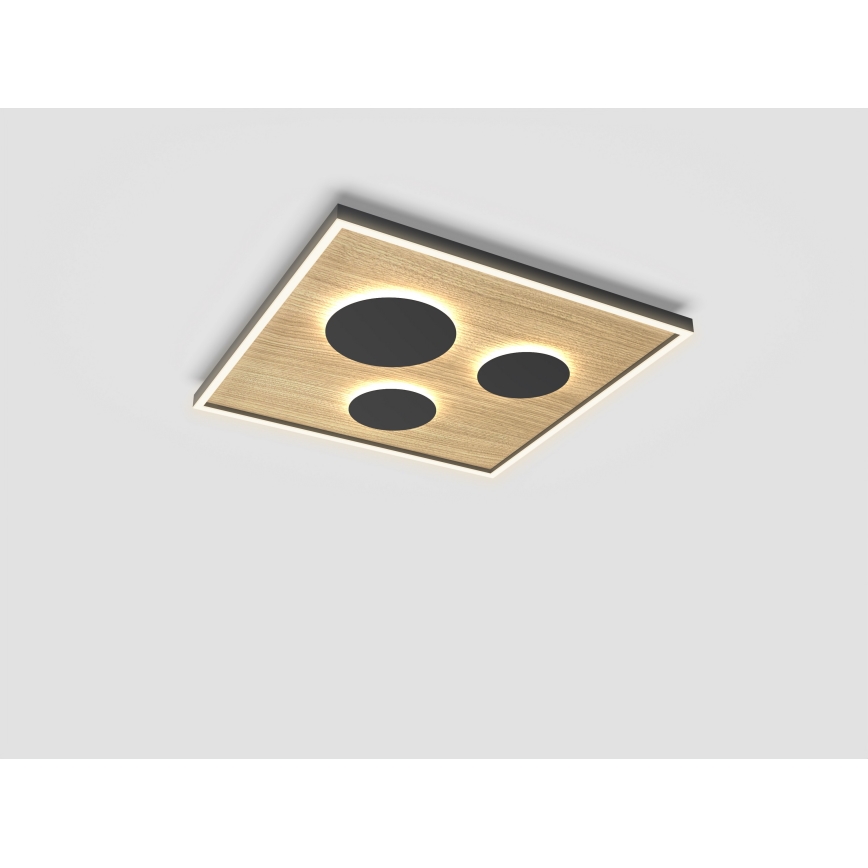 Wofi 9012-306L - LED dimmelhető mennyezeti lámpa DIJON LED/40W/230V