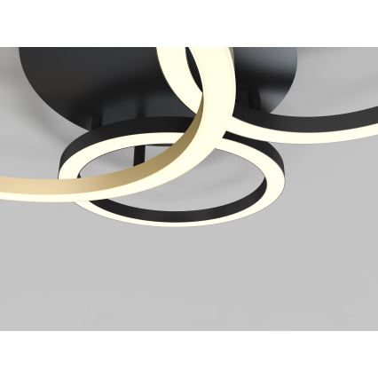 Wofi 9042-304 - LED Dimmelhető felületre szerelhető csillár BAYEUX LED/51W/230V