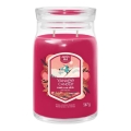Yankee Candle - Illatos gyertya SANTA ON SKIS nagy 567g 60-90 óra