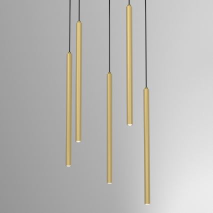 YORU zsinóros csillár, 8xG9/8W/230V, sárgaréz