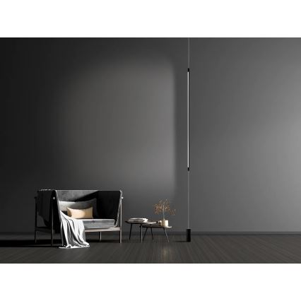 Zambelis 20184 - LED állólámpa LED/22W/230V