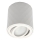 ZOLA spotlámpa 1xGU10/30W/230V fehér
